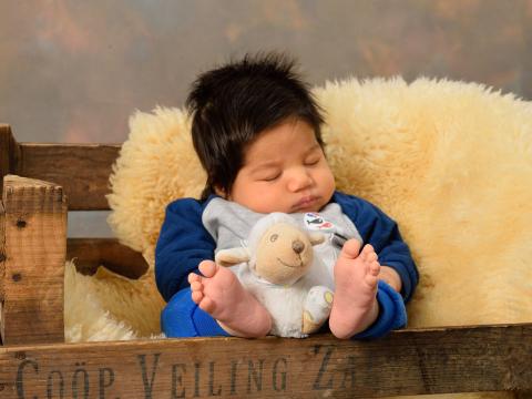baby shoot 2 
