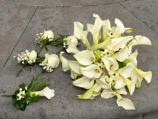 witte bruidsbloemen foto Geurts